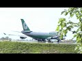 Watching Planes at Sea-Tac