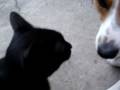 shimu i snoopy shimu i snoopy