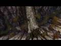 Dimension of Love - Arayoru AMV
