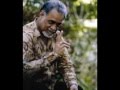 Honour Them; The Legendary KARPAL SINGH aka The Tiger of Jelutong