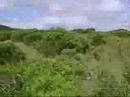 Sahara Maniacos - Humor nas f�rias de F�bio e Paty