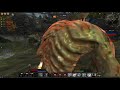 Conqueror AoC PvP Weekend!