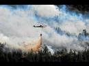 Norwegian Wood-Aust Agder Wildfire Norwegian Wood-Aust Agder Wildfire