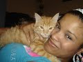 my cats 4
