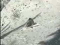 Big Mountain 1998
