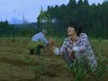 Miura Haruma CM Miura Haruma CM