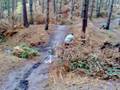 videos de rich downhill kinver