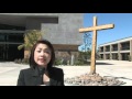 Mega Churches