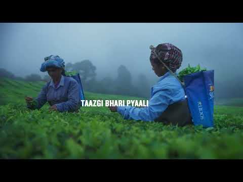 Society Tea-Taagi Bhari Pyali