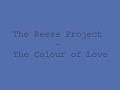 The Reese Project - The Colour Of Love