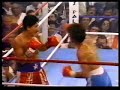 THE GREAT SALVADOR SANCHEZ THE GREAT SALVADOR SANCHEZ