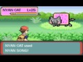Wild Nyan Cat appeared!