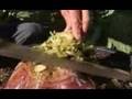 Giant Veggies Grow in Alaska