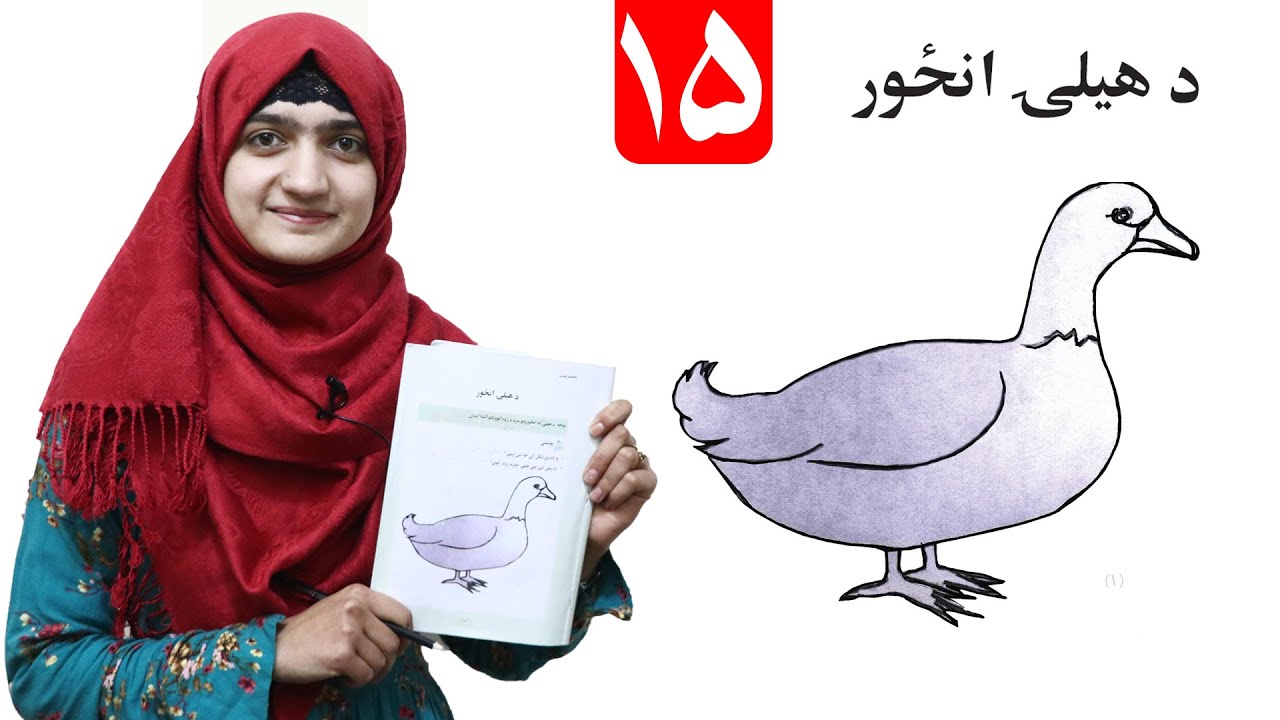 Duck image - lesson 15 _ Arts Grade 1/ د هیلۍ انځور - لومړی ټولګی- د رسم مضمون