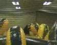 L.E.Gears Paintball Action Iserlohn 29.12.07 Monheim