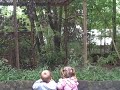 Bird Talk