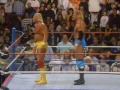 1992 ROYAL RUMBLE RIC FLAIR WINS THE WWF HEAVYWEIGHT WORLD CHAMPIONSHIP