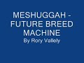 Meshuggah