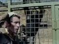 Monkey business - Some Mothers Do 'Ave 'Em - BBC classic comedy