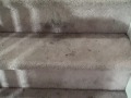 I uploaded a YouTube video -- Cheleten Ave "Before" http://www.youtube.com/watch?v=BFXRtIeDgl8&feature=autoshare_twitter