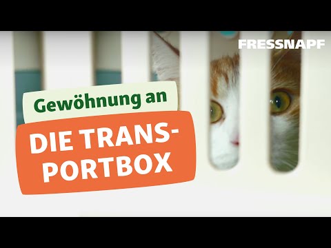 Katze an die Transportbox gewöhnen I FRESSNAPF