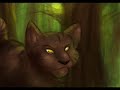 Tigerstar\