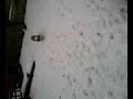 Video066.mp4