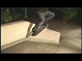 Chris Cole - In Bloom - TransWorld SKATEboarding