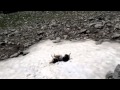 "Snow Furgie" - YouTube