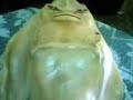 Russisches Seemonster?