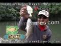 Jackall Giron Swimbait Bass Fishing Lure Demo