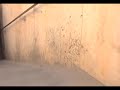 Chi?in?u - sights and sounds