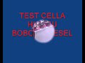 Cella su bobcat.wmv Cella su bobcat.wmv
