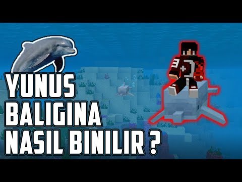 YUNUS BALIĞINA NASIL BİNİLİR ? // MİNECRAFT/PE/W10E/XBOX