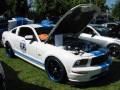 Paxton Superchargers @ Mustangs at the Queen Mary Show 2009