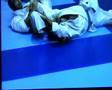 valetudo,jiujitsu,judo,lucha de suelo,aviles,asturias