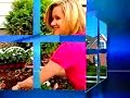 Foreclosure Fears
