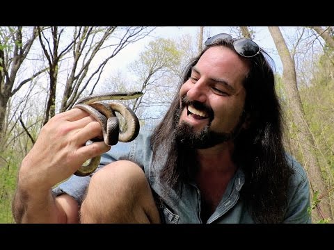 YouTube reptile video
