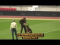 2011 SV BSZS Nürnberg TSB Part 5 Ruden V61-V80 (16 out of 20) HD