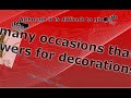 Funeral Flower Arrangements