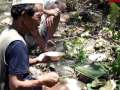 Makpa/Bijuwa/Dhami (Shaman)