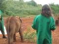 videos de KEN_EleOrphanage_NairoNatlPark1.avi