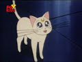 guerrero luna