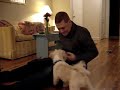 Toby and the Search for the Yellow Toy