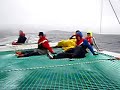 Formula 60 Trimaran \ Formula 60 Trimaran \