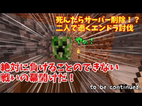 マイクラ リード