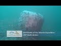 2009 Battle of the Atlantic Expedition
