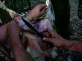 sobrevivencia na selva