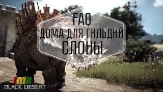 Black Desert - FAQ: Слоны и дома для гильдий. IMRastafari Black Desert - FAQ: Слоны и дома для гильдий. IMRastafari