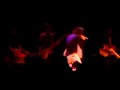 adam green - gemstones - live @ kaufleuten zurich 29.4.08